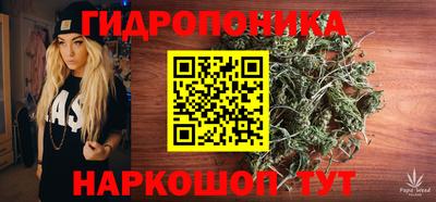 гидра Малгобек