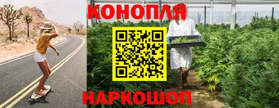 гидра Малгобек