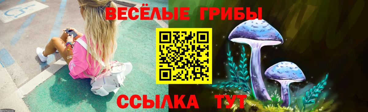 Тара  Галлюциногенные грибы ЛСД  Вход с VPN 
